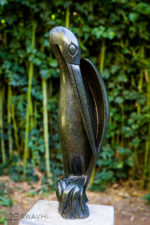Shy Heron